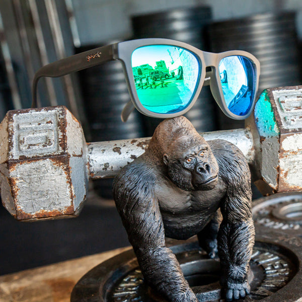 Gorilla figurine lifting weights with Goodr OG Silverback Squat Mobility Sunglasses on a gym background.