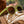 Green Goodr Fossil Finding Focals PHG sunglasses on a white animal skull over a natural background.