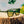 Green Goodr POP G Garnish Me in Greens Sunglasses sitting on a tree stump with blue sky and green foliage in the background.