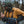 Person wearing the whiskey color Grundéns Men's Turbulence Hybrid Hoody under fishing waders on a blurred forest background.