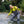 Grundéns Men's Vector Stockingfoot Wader