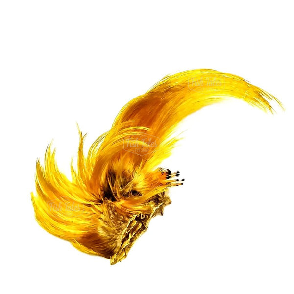 H&H Golden Pheasant Crest