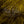 Wapsi Strung Blood Quill Marabou Feathers