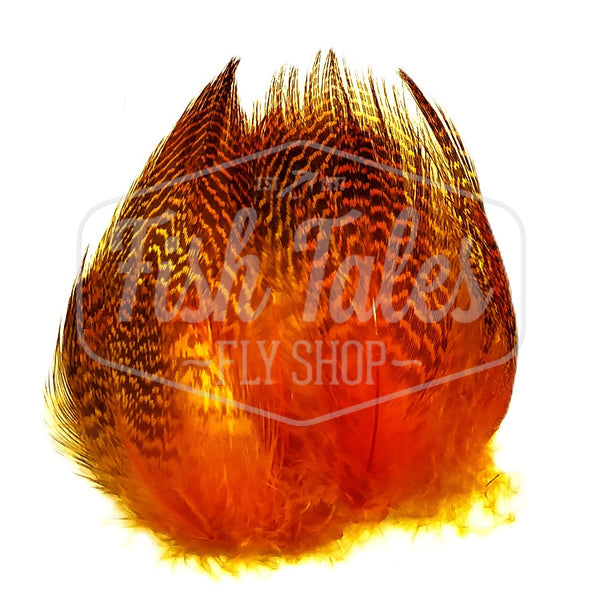 Wapsi Gadwall Barred Flank Feathers