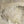 Wapsi Barred Mallard Flank Feathers