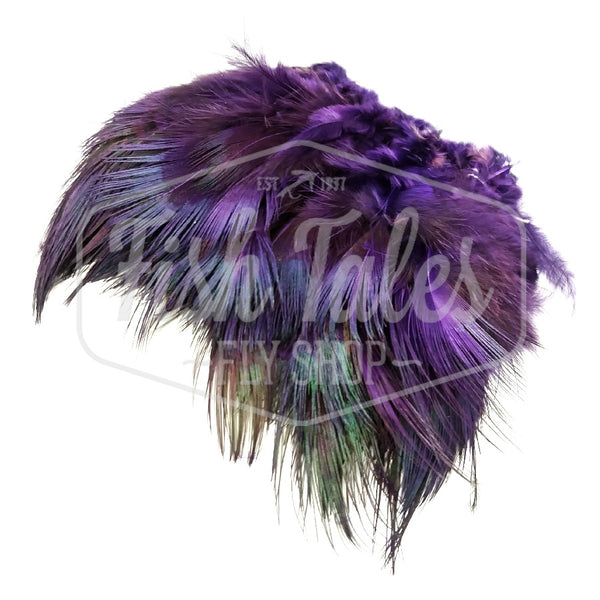 Wapsi Strung Ring Neck Pheasant Rump Feathers
