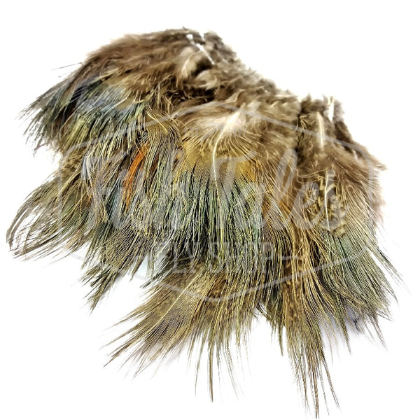 Wapsi Strung Ring Neck Pheasant Rump Feathers