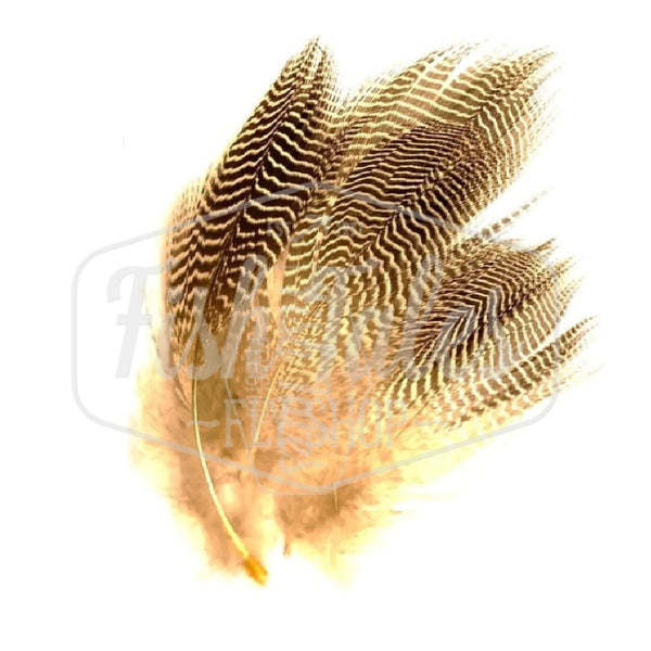 Wapsi Teal Barred Flank Feathers