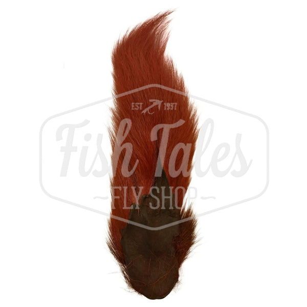 A rootbeer brown dyed Hook and Hackle Whole Bucktail for fly tying shown from the underside, on a white background with the Fish Tales logo watermark.