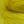 closeup of dyed yellow arctic fox fur used for fly tying