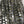 Hareline Boothe's Barred Matrix Fly Fiber
