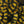 Fly Fish Food Small Stonefly Variegated Chenille
