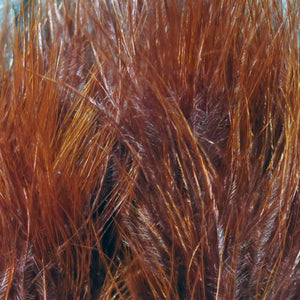 Rusty Brown Hareline Blood Quill Marabou for fly tying shown in close up.