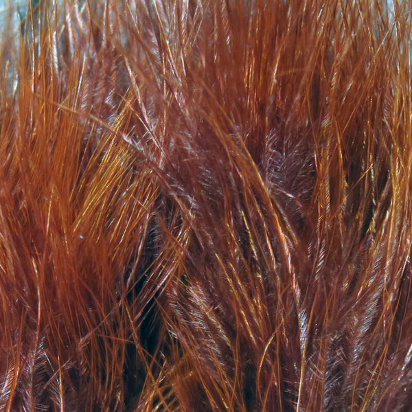 Hareline Marabou Blood Quills 1oz Package