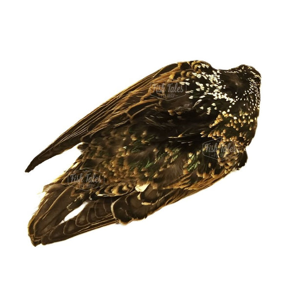 Hareline Whole Starling Skin