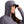 Huk Women's Waypoint Performance Sun Hoody - Solids