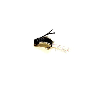 A Dee's Boatman nymph in black and peacock on a white background.