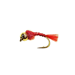 Locally tied Red Devil nymph for fly fishing with red body and tail, and gold bead head, on a white background.