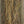 Bronze back color close-up image of Just Add H2O Steve Farrar's Flash Blend fly tying material.