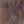 MFC Arizona Simi Seal Dubbing