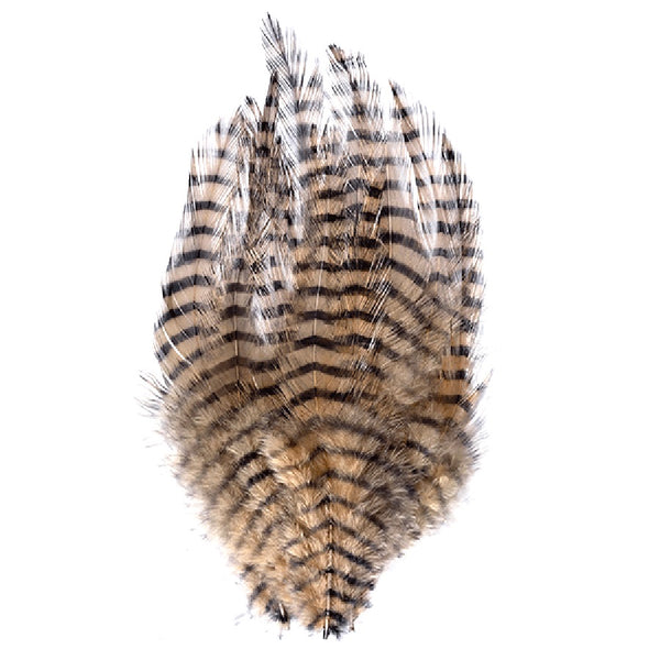 MFC Barred Saddle Hackle