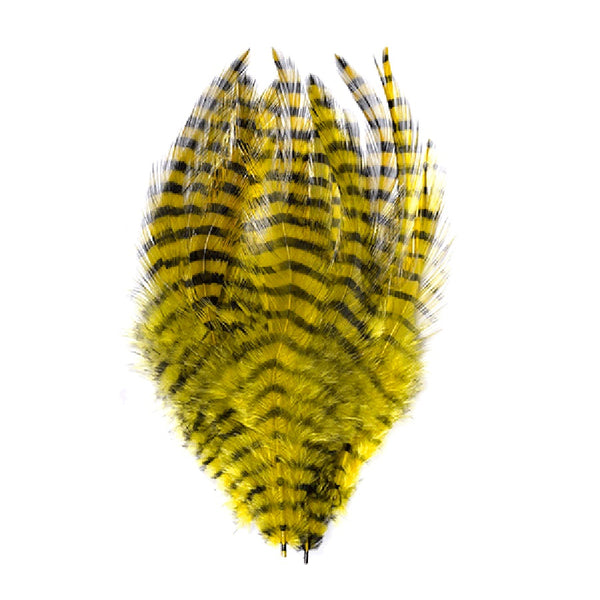 MFC Barred Saddle Hackle