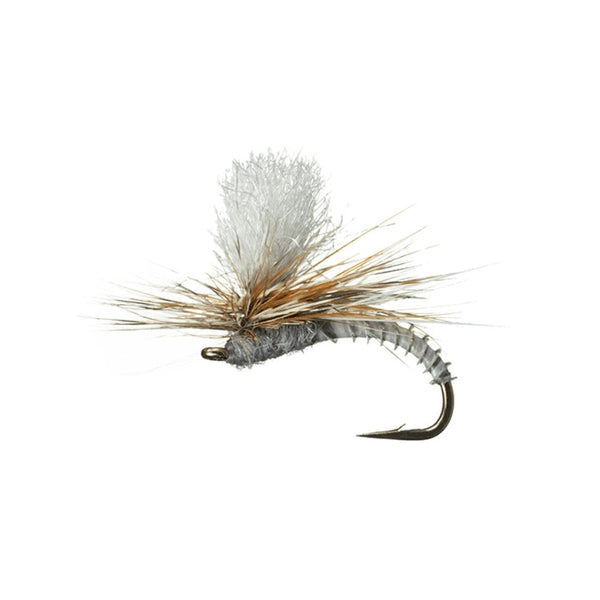 MFC Flies Christiaen's GT Adult Dry Fly