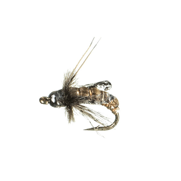 MFC Flies Krueger's Tungsten Poudre Pupa Caddis Nymph