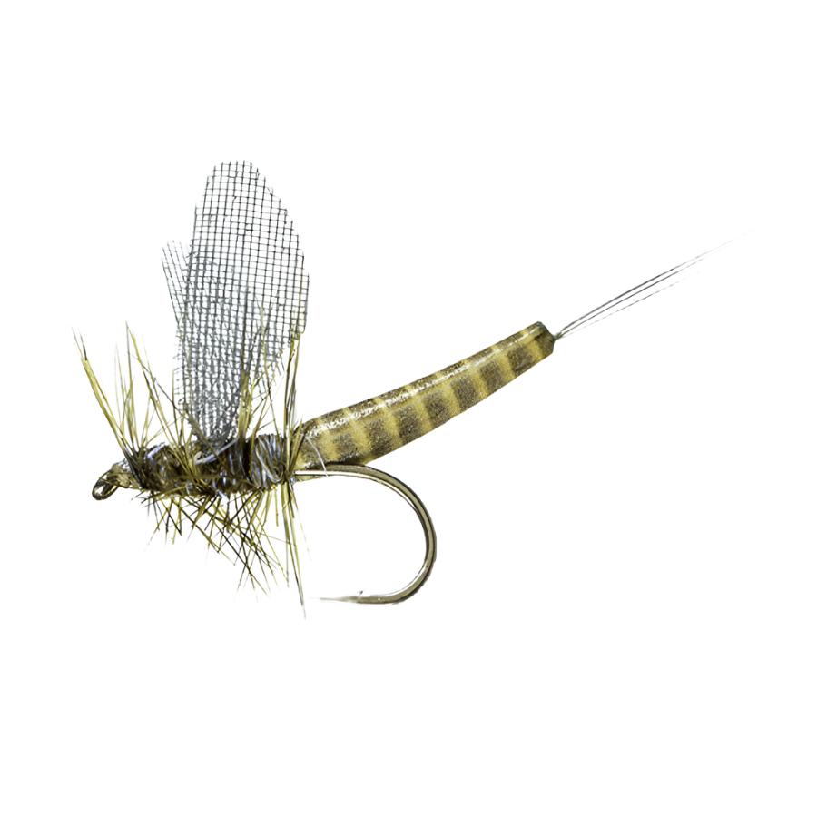 MFC Flies Lucent Wing True Drake Dry Fly | Topwater Trout Flies – Fish ...