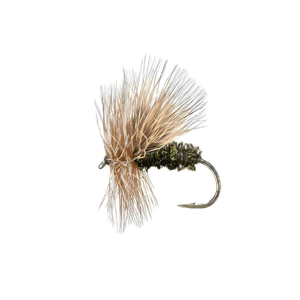 MFC Flies Peacock Caddis Dry Fly