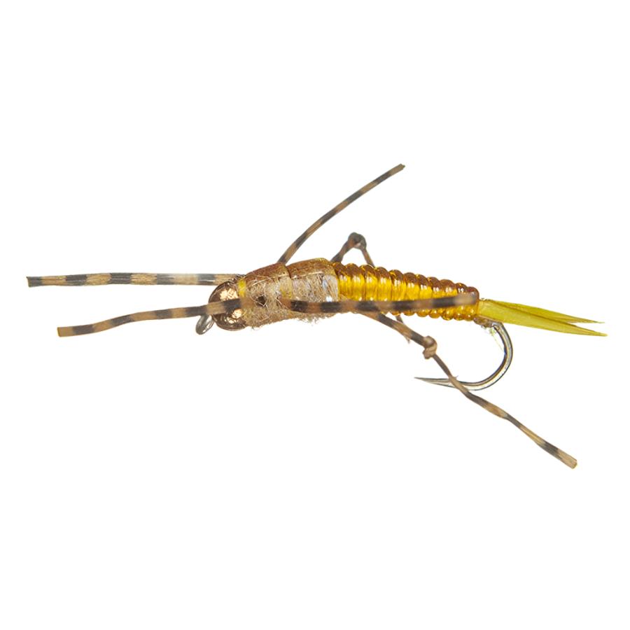 新田恵海　the betty nymph mqdefault.jpg