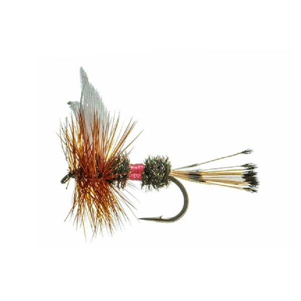 MFC Flies Royal Coachman Dry Fly
