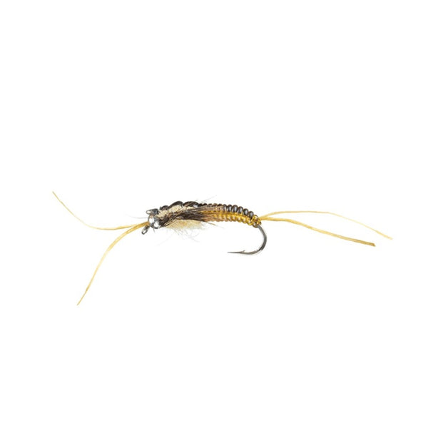 MFC Flies Strolis' Dimmer Stonefly Nymph