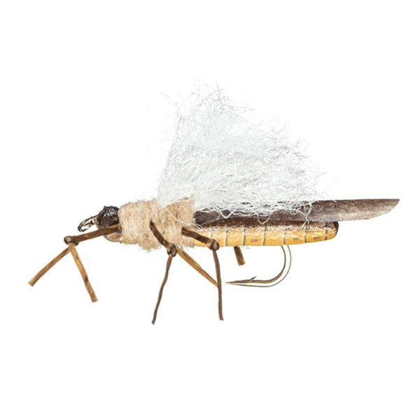 MFC Flies True Golden Stone Dry Fly