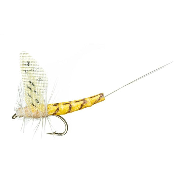 MFC Flies True Hexagenia Dry Fly