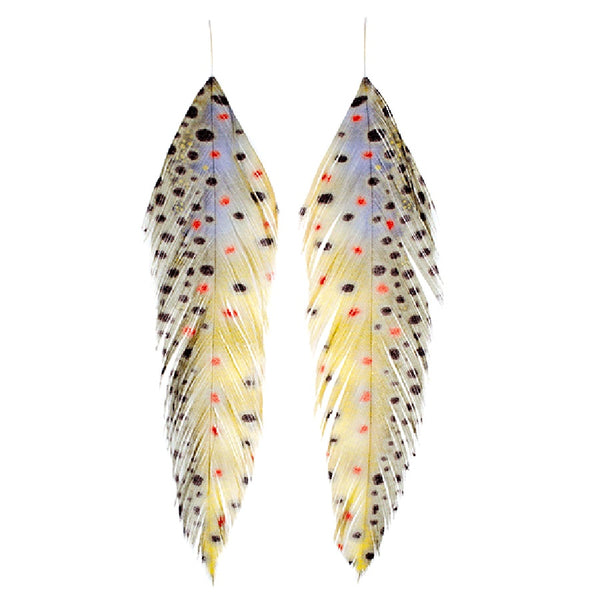 MFC Galloup's Fish Feathers Fish Print