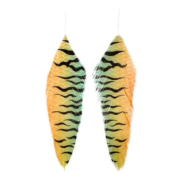 MFC Galloup's Fish Feathers Fish Print