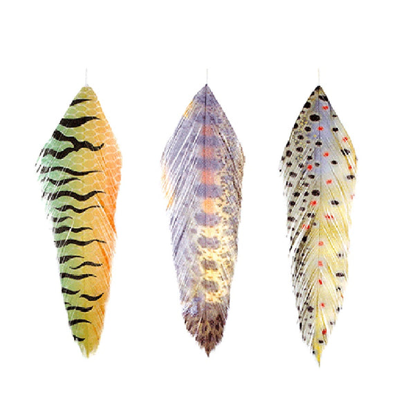 MFC Galloup's Fish Feathers Fish Print
