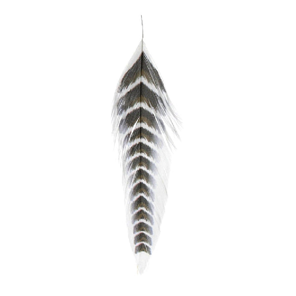 MFC Galloup's Fish Feathers Grizzled