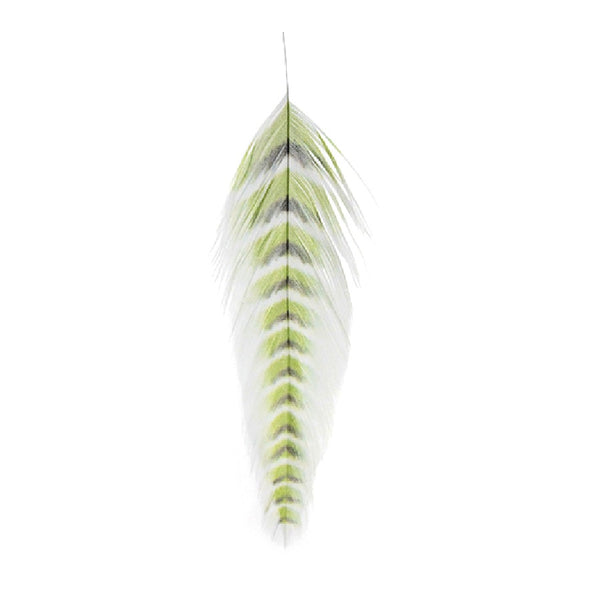 MFC Galloup's Fish Feathers Grizzled