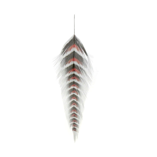 MFC Galloup's Fish Feathers Grizzled