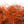 A close-up image of Senyo's Dirty Bird Dubbing, in cat vomit orange and brown showcasing a mix of marabou and synthetic fibers with hints of flash.