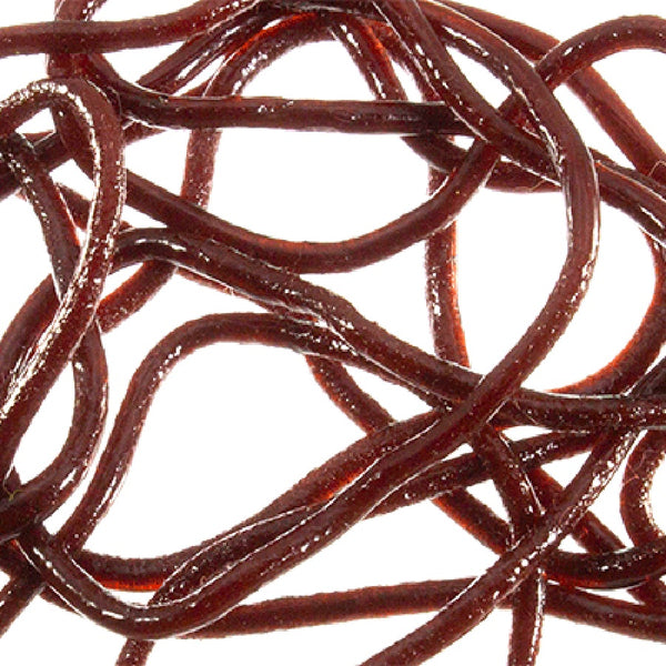 Strands of brown MFC Trina's Squirm Material for fly tying on a white background.
