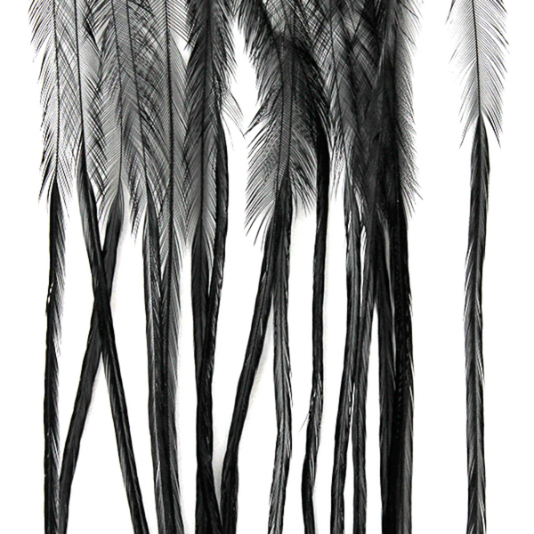 MFC Whiting Farms 100-Pack Dry Fly Hackle