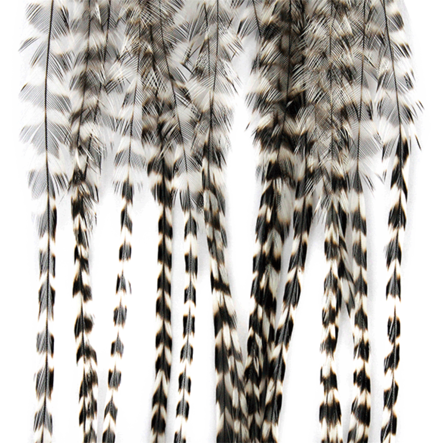 whiting bantam rooster set他 All Whiting Farms | Shop By Fly Tying Brand – Fish Tales Fly