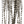 MFC Whiting Farms 100-Pack Dry Fly Hackle