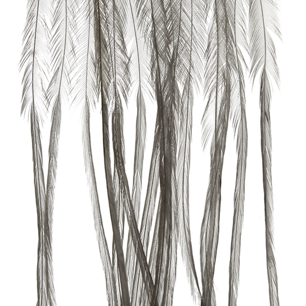 MFC Whiting Farms 100-Pack Dry Fly Hackle