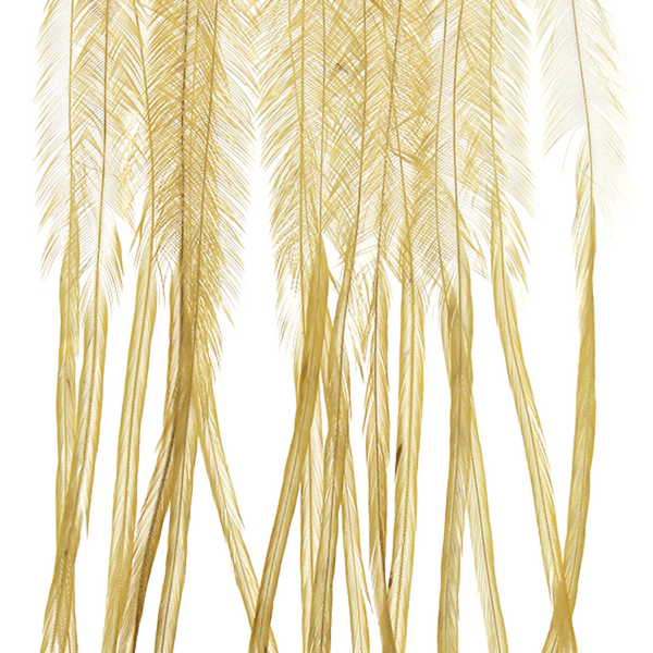 MFC Whiting Farms 100-Pack Dry Fly Hackle
