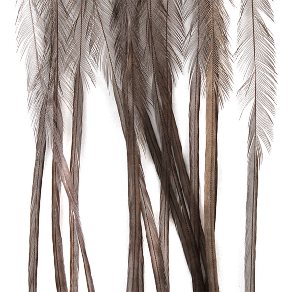 MFC Whiting Farms 100-Pack Dry Fly Hackle