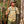 A man wearing a backpack, the Orvis Men's Open Air Caster Short Sleeved Plaid Shirt in tangerine/peacock, and a prosthetic arm hikes through the Florida Everglades with a bamboo walking stick. 